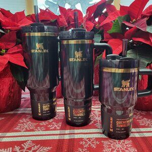 Stanley X Wicked Tumbler Lot - Elphaba, 40 oz, 30 oz, 20 oz Lot of 3 - Brand New